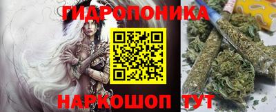 молекула духа Пугачёв