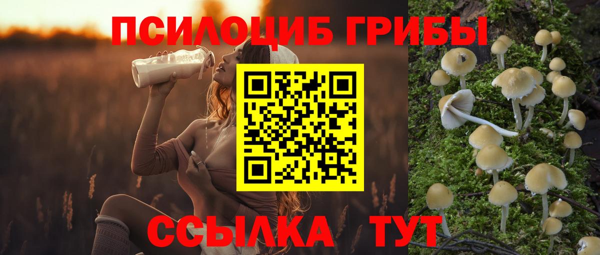 Наро-Фоминск  Псилоцибиновые грибы ЛСД  магазин продажи наркотиков  Вход с VPN  Псилоцибиновые грибы мицелий 